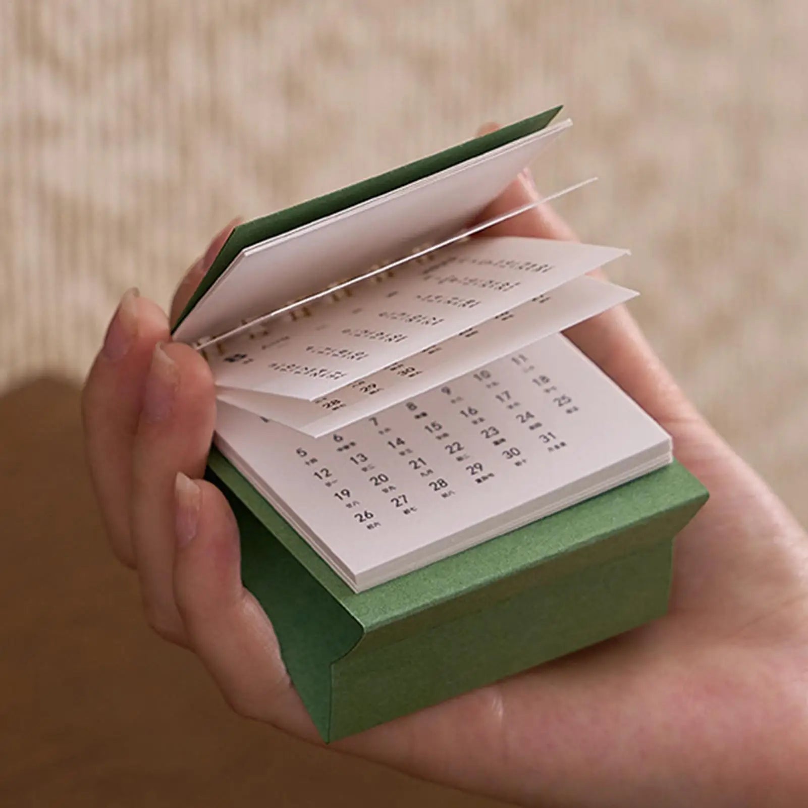 Small Desk Calendar 12 Months Desktop Calendar Daily Scheduler Aesthetic Paper Offices Supplies Yearly Planner for Offices Home Oasis Select