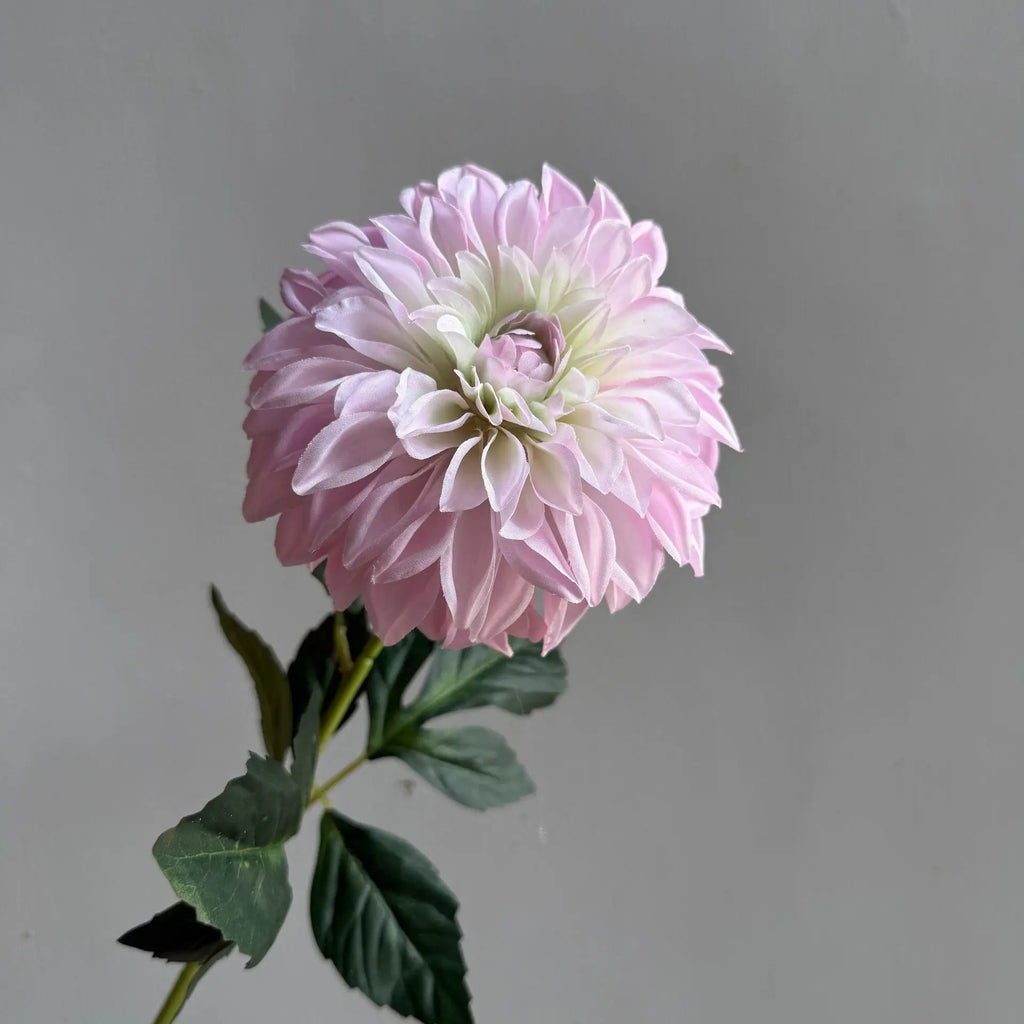 Lifelike artificial dahlia flower with 1 heads long branch silk flower for home wedding decor birthday party bedroom Decoration Oasis Select
