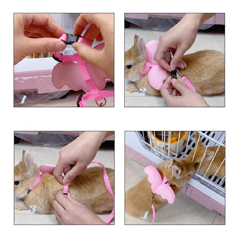 Angel Pet, Callduck Harness Leash, suitable for cats, rabbits, Callduck, pet chickens, turtles, small pet harness, gift Oasis Select