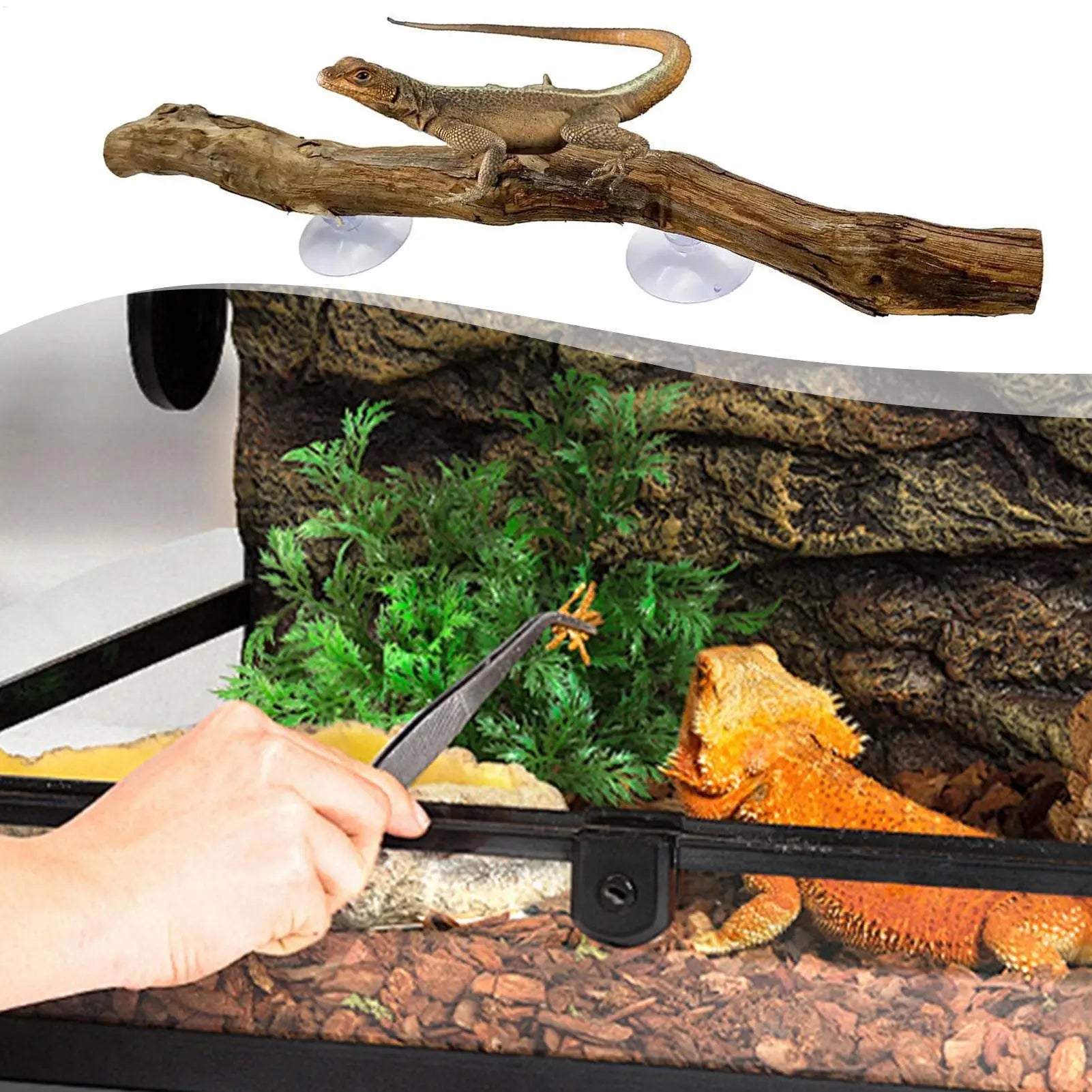 Snake Climbing Branch Unique Snake Climbing Decor Natural Non-slip Habitat Decorations Reptile Decor for Bearded Dragon Snake Oasis Select