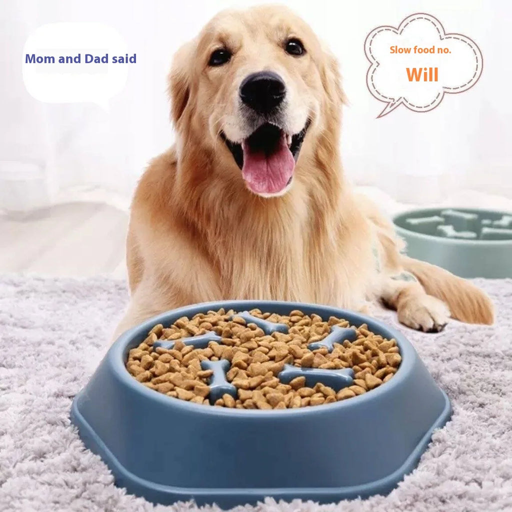 Anti-Slip Anti-Choking Slow Feeder Bowl for Large Dogs - Anti-Tip Pet Food Bowl for Golden Retriever Oasis Select