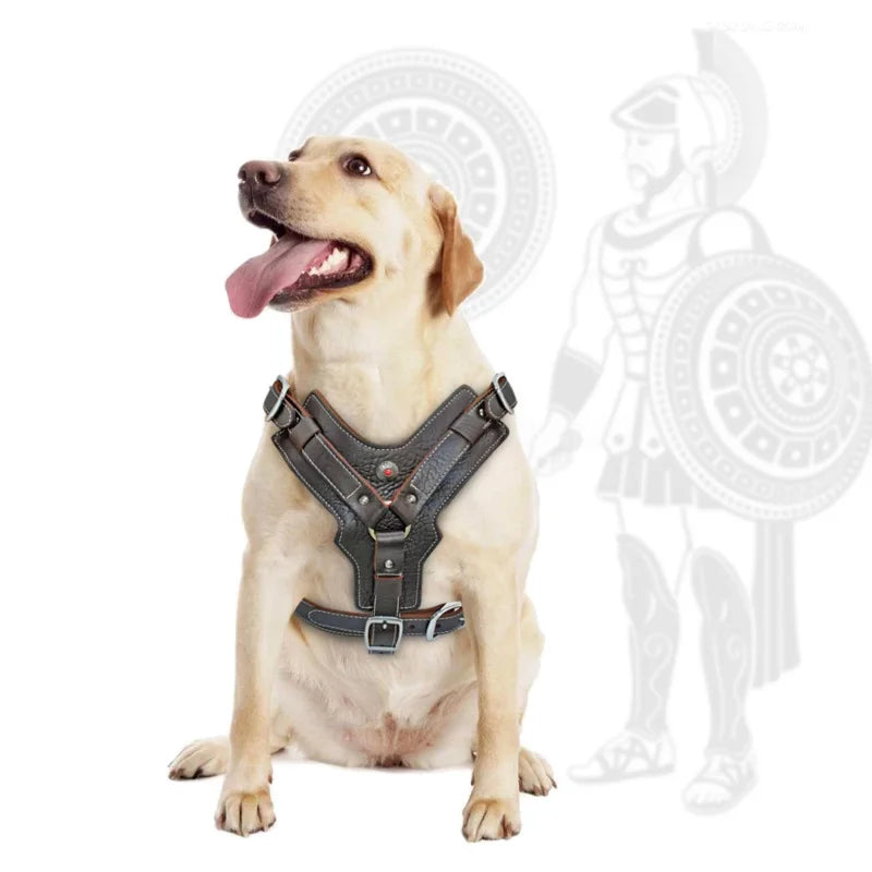 Durable Dog Harness Large Dogs Genuine Leather Harnesses Pet Training Vest With Quick Control Handle For Labrador Pitbull Oasis Select