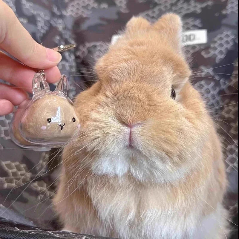 Rabbit Hair Storage Box Pendant Keychain Pet Hair Keepsake Box Pet Memorial Collection Box Bag Pendant DIY Decoration Gift Oasis Select
