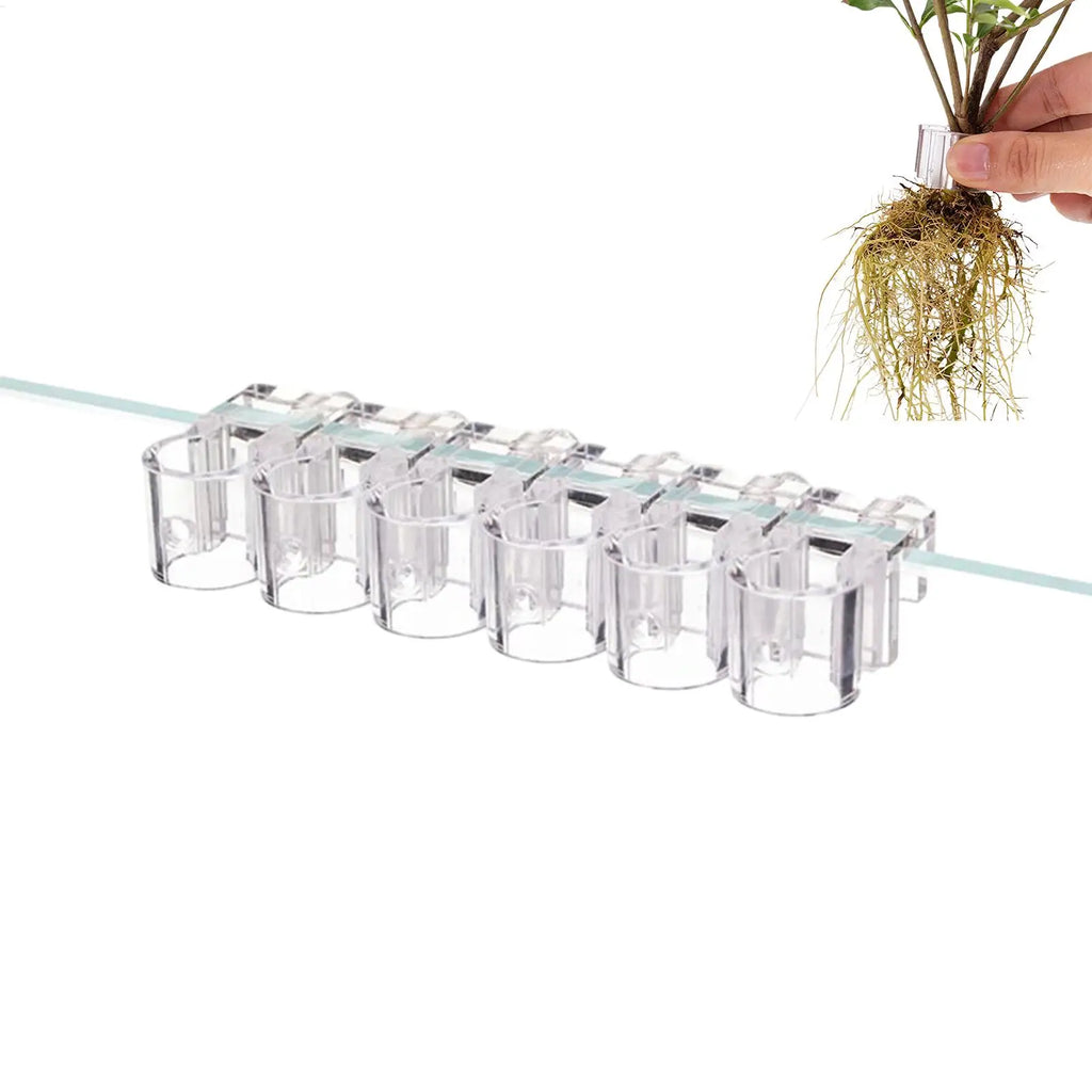 6 Pieces Clear Planting Cup Aquarium Plant Holder Hangable Aquatic Plant Holder For Fish Tank Home Grow Planting Cultivation Oasis Select