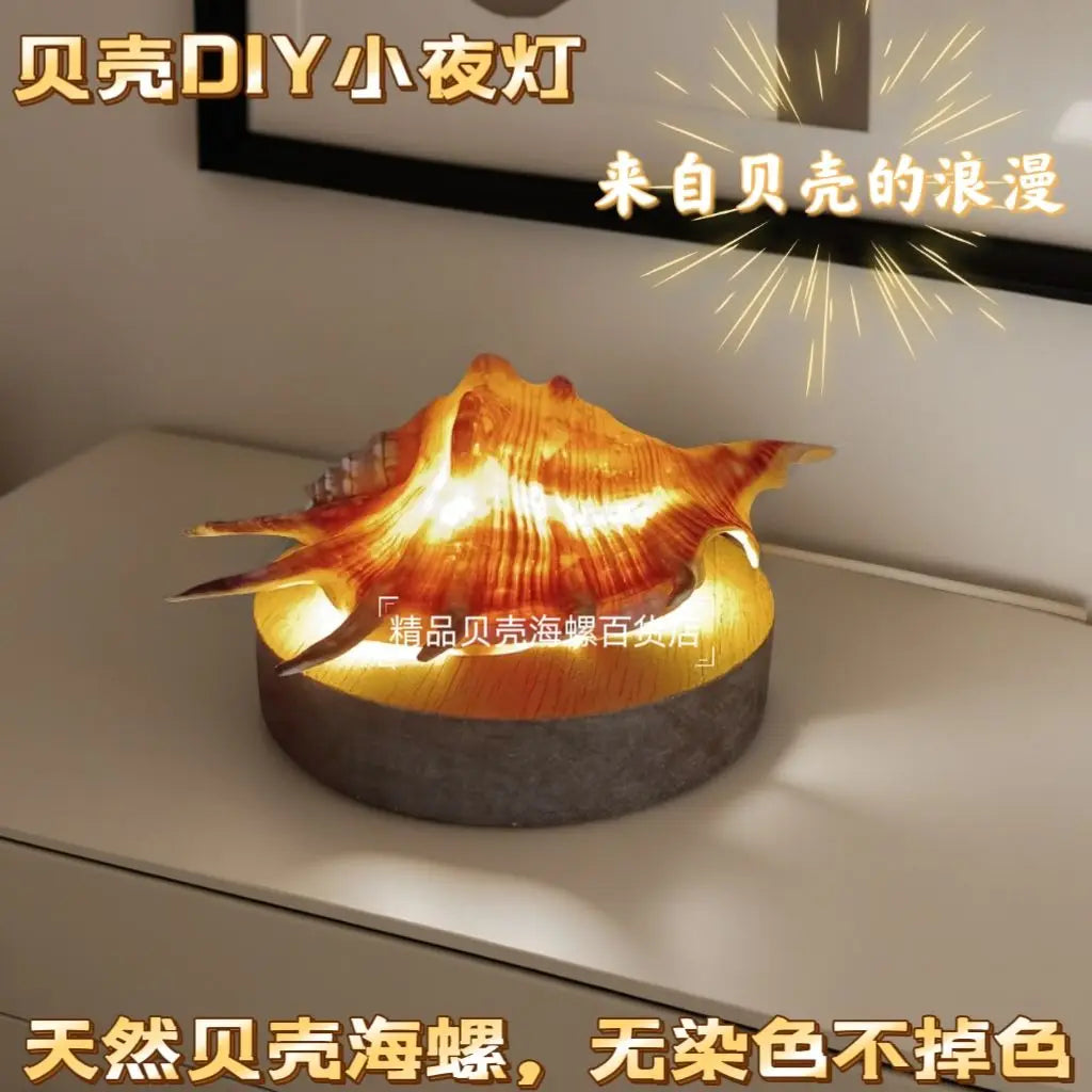 Natural Conch Sea Urchin Shell Mini Night Light Senior Children's Birthday Gift Creative Ornaments Oasis Select hex conch