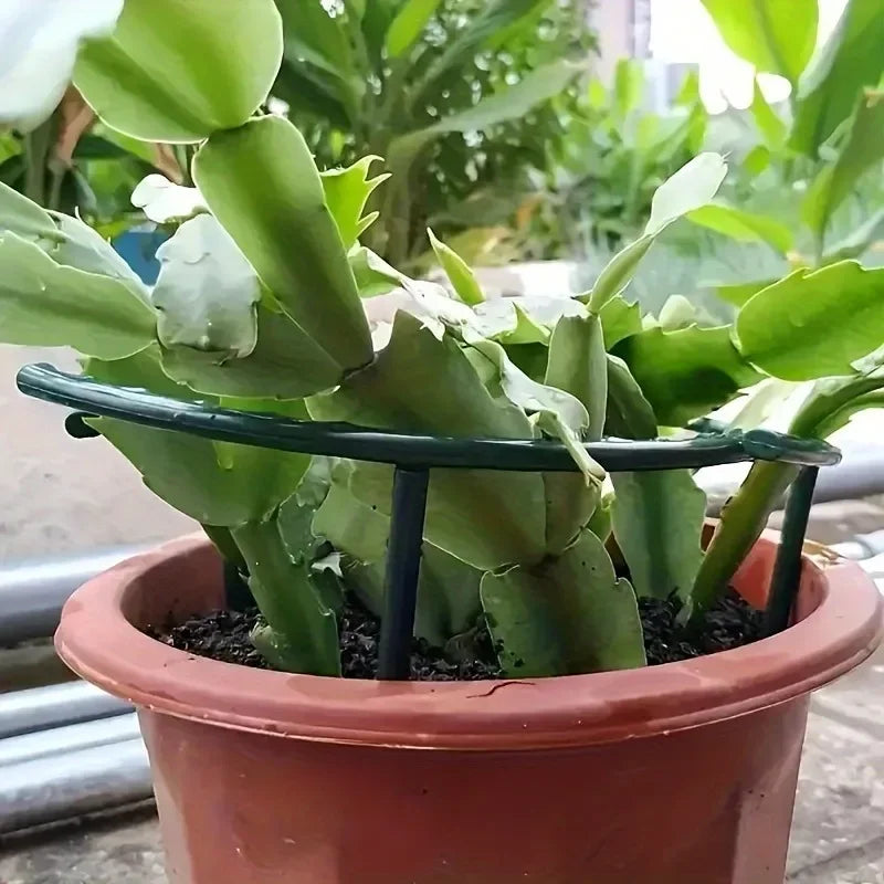 Semi Circular Plant Support RingTomato Pepper Greenhouse Gardening Sturdy Plastic Plant Stake Holder Vegetable Flower Growth Aid Oasis Select