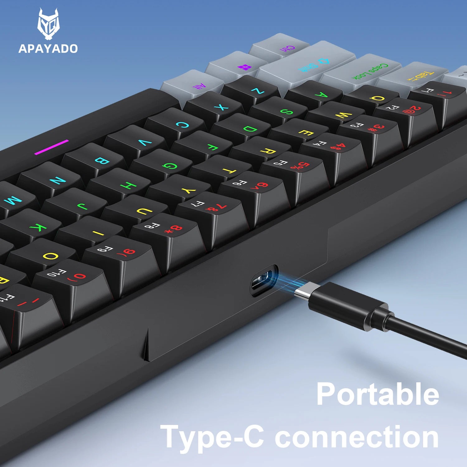 APAYADO K61 Mini Mechanical Keyboard,Wired,61 Keys,Phantom RGB, Black/White Red/Blue Mechanical Switch for Gaming,60% Portable Oasis Select