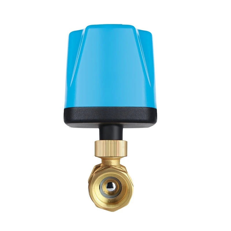 Brass Electric Ball Valve DC12V/24V Three Wire Two Control 1/2 "3/4" 1 "2" Electric Valve Used for Water Solenoid Valve Oasis Select