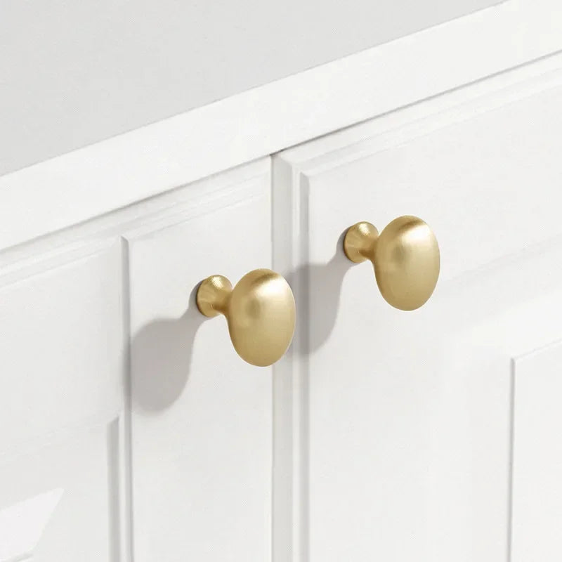 Minimalist Cabinet Door Knobs and Handles Pigeon Egg Oval Drawerknobs Wardrobe Handles for Furniture Oasis Select