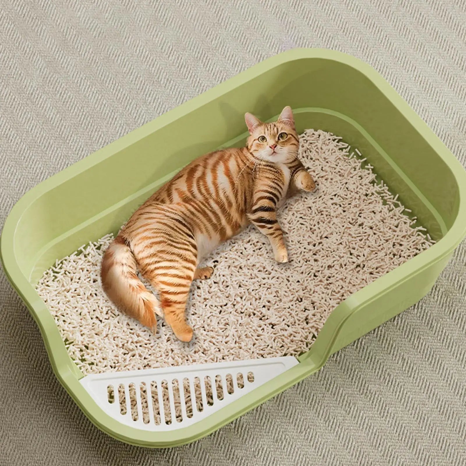 Cat Box Semi Enclosed Easy Clean with Scoop Open Top Semi Enclosed Litter Box for Cleaning Odor Control Indoor Office Dorm Oasis Select