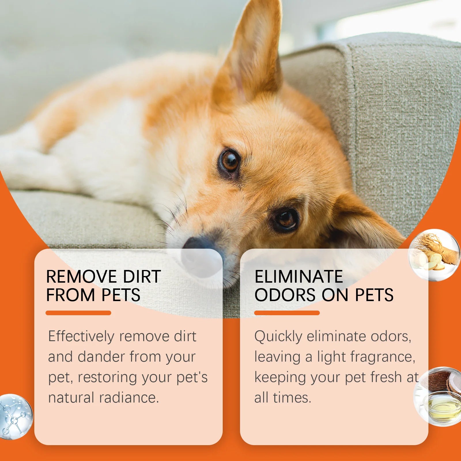 Pet Wipes Remove Dirt Stain from Pets Eliminating Odors Cleaning Hair Keep Fresh Moisturizing Soothing Portable Pet Wipes 10PCS Oasis Select