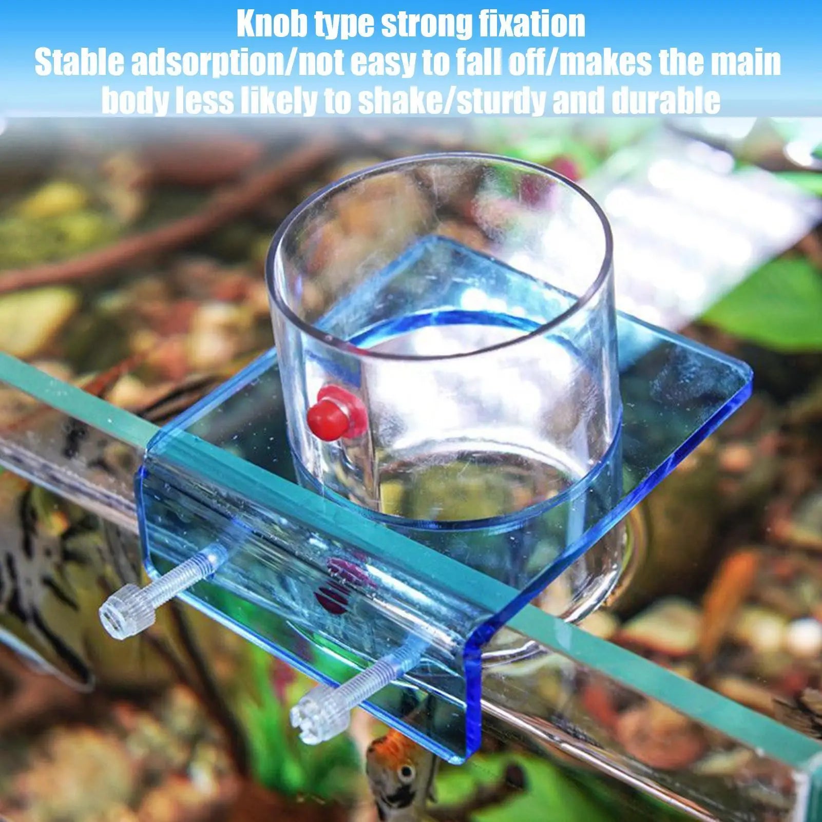 Feeding Dish Aquarium Fish Tank Reptiles Feeder Bowl with Suction Cup Acrylic Fluorescent Fish Feeding Aquarium Supplies Oasis Select