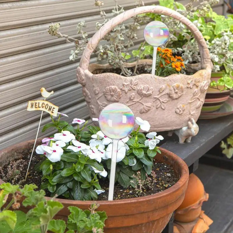 Plant Watering Globes Rainbow Gradient Color Automatic Watering Bulbs Clear Flower Automatic Watering Device Auto Waterer Tool Oasis Select