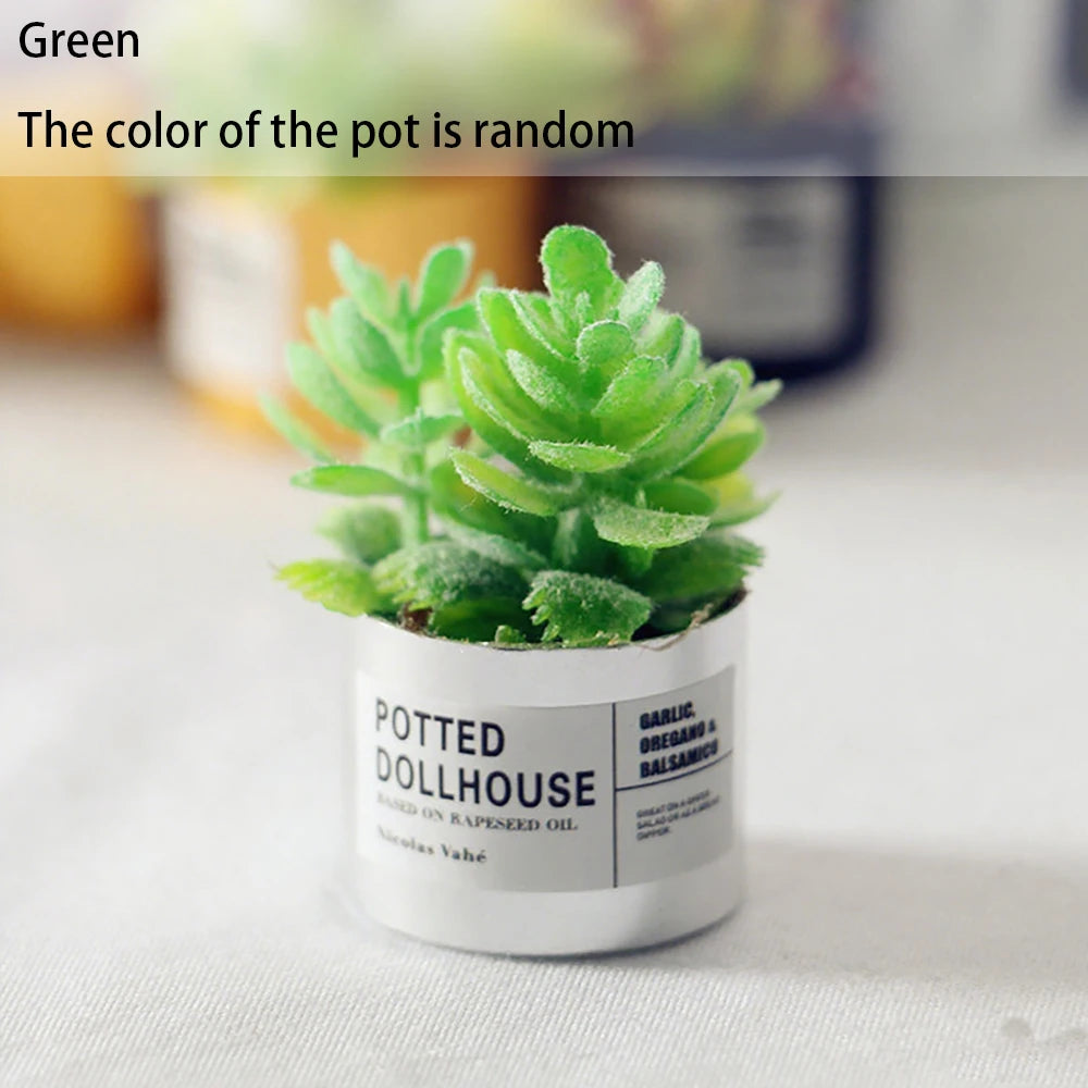 Mini Plastic Succulent Pots Small Succulent Pots Funny Plant Pots Doll House Decor Fairy Garden Micro Landscape Desk Accessories Oasis Select Green