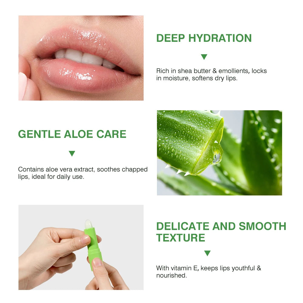 Lakerain Aloe Vera Lip Balm – Hydrating, Nourishing & Gentle Lip Balm Oasis Select