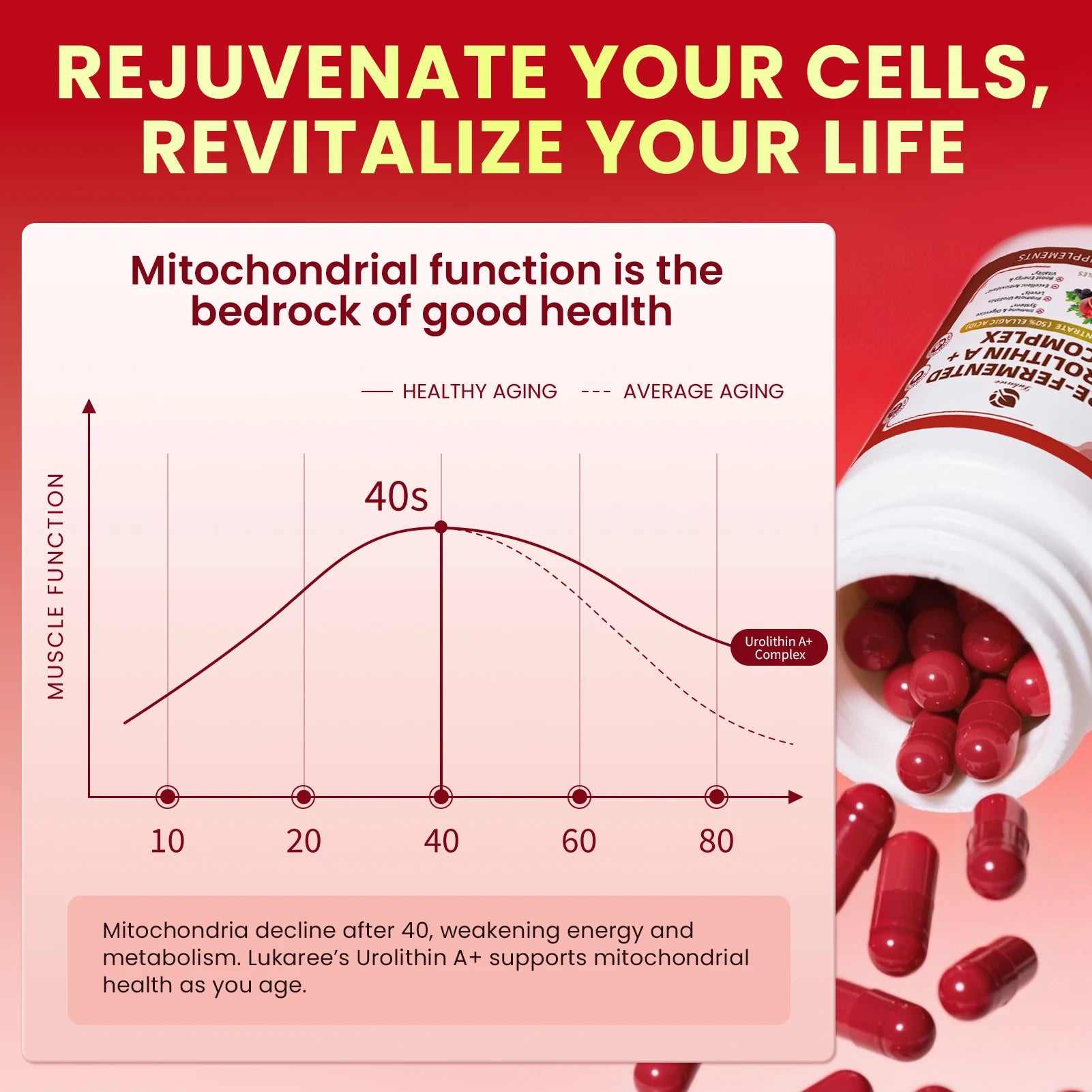 Lukaree Pre-fermentation Urolithin A+Complex Blend Promotes Cellular Repair Enhances Mental Clarity,Digestive Health Support Oasis Select