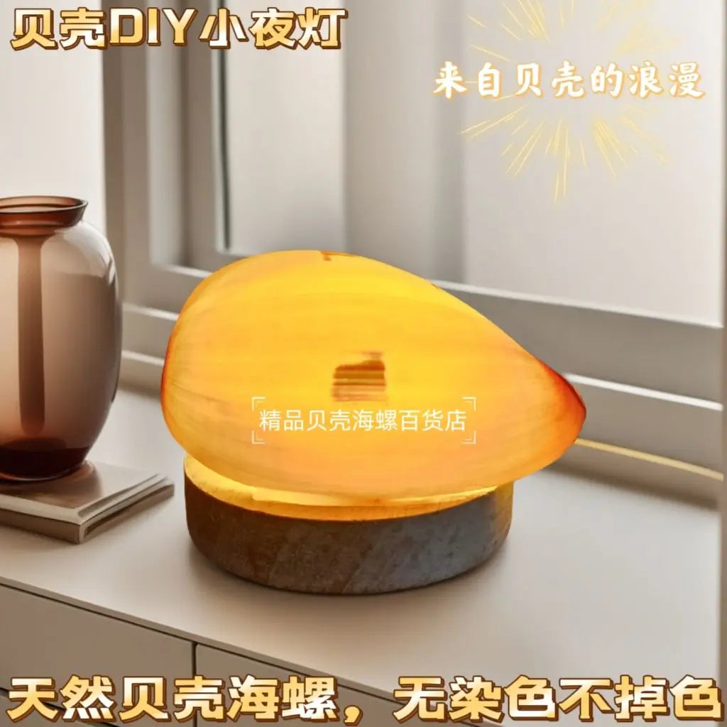 Natural Conch Sea Urchin Shell Mini Night Light Senior Children's Birthday Gift Creative Ornaments Oasis Select Coconut Conch