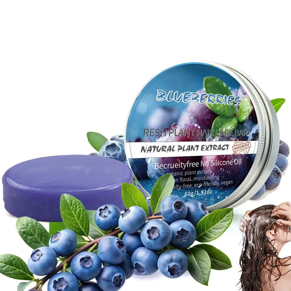 Blueberry Shampoo & Conditioner Bundle Bar for Hair Thinning Frizz, Blueberry Solid Shampoo & Conditioner Strengthen Hair Care Oasis Select Conditioner