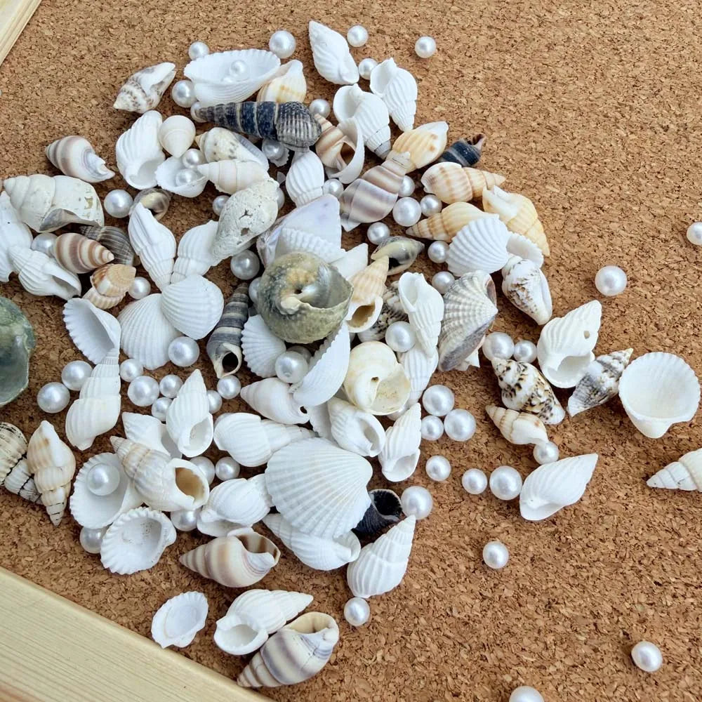 1 Box Mix Resin Simulation Pearls Shell For Home Decoration DIY Craft Photo Frame Friend Gifts Drift Bottle Aquarium Decorations Oasis Select