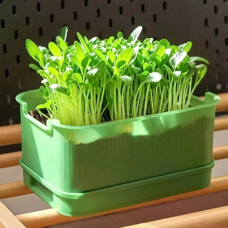 Plastic Seedling Nursery Pots & Germination Tray | Garden