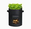 1PC Felt Potato Planting Bag Large Diameter Vegetable Plant Seedling Bag Non-Woven Felt Potato Growing Bucket Oasis Select black