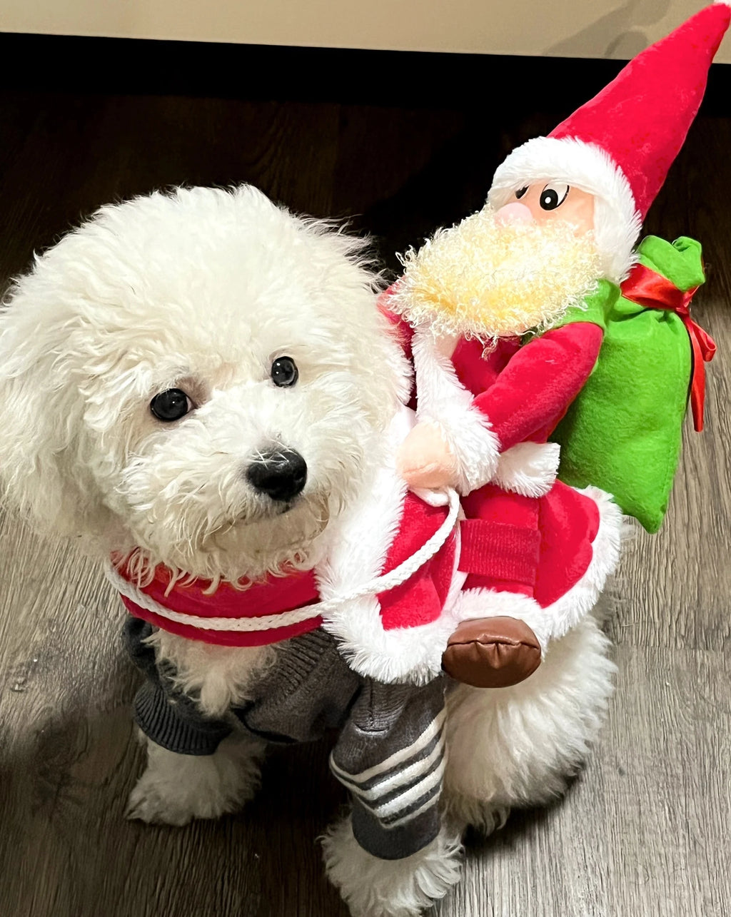 New Santa Claus Riding Suit Pet Christmas Dog and Cat Clothing Dog Clothes for Small Dogs Oasis Select