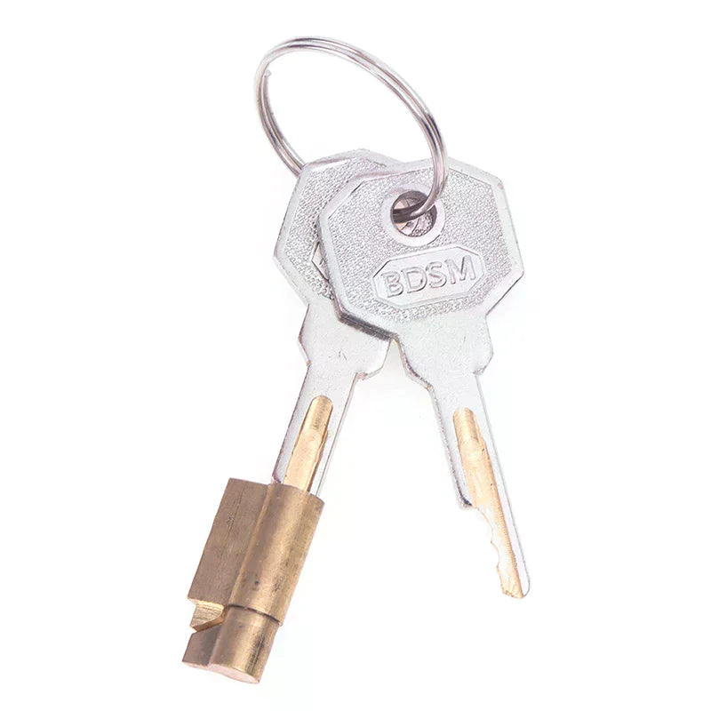 Trailer Coupling Hitch Lock Insertable Security For Pressed Coupler Heads Camper Components Caravan RV Parts Accessories Oasis Select