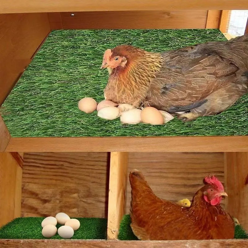 Chicken Nest Mat Artificial Turf, High-end Chicken Coop Mat for Catching Eggs Oasis Select