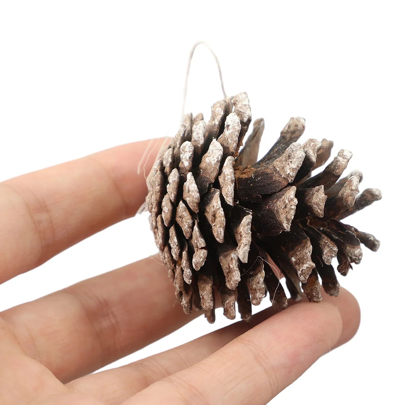6PCS 5cm Christmas Pine Cones Pendant Christmas Pinecones Bulk Ornaments For Party Home Wreath Xmas Tree Winter Decoration Craft Oasis Select