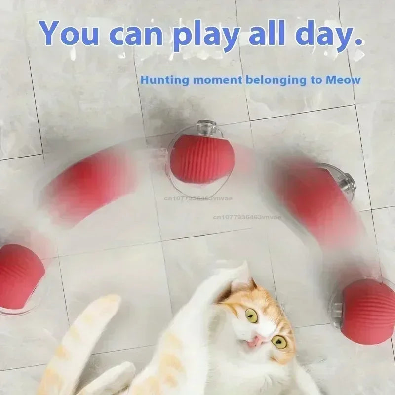 Cat Toys Interactive Ball Cat Accessories Interactive Cat Ball Kitten CatBall Toys Electronic Automatic Rolling Magic Ball Oasis Select