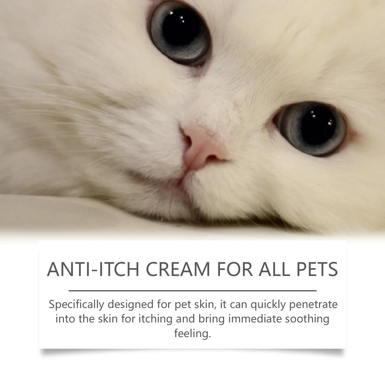 Herbal Pet Skin Care Cream Relieve Itching Long Lasting Moisturizing Make Pet Skin Soft Smooth Gentle Repair Formula Cream 60g Oasis Select