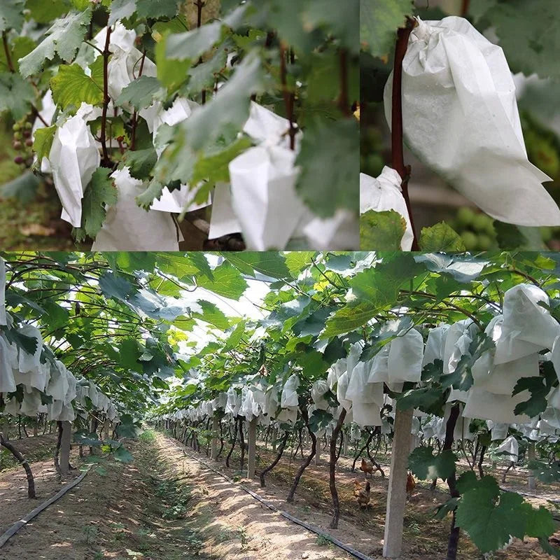50pcs Fruit Protection Bags,Insect-Proof &Bird-Proof,Breathable Non-Woven Fabric,for Home Garden Vineyard Vegetables Green House Oasis Select
