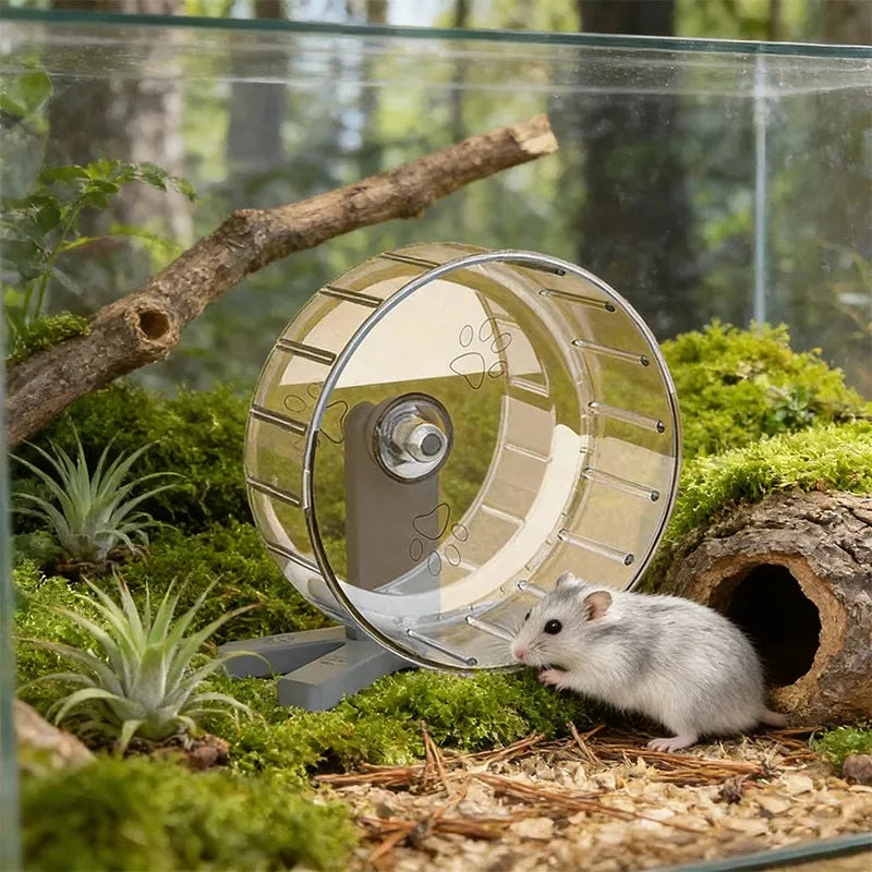 Hamster Exercise Wheel with Stand Large Running Wheel for Syrian Hamsters & Gerbils Pet Toy Cage Accessory Oasis Select
