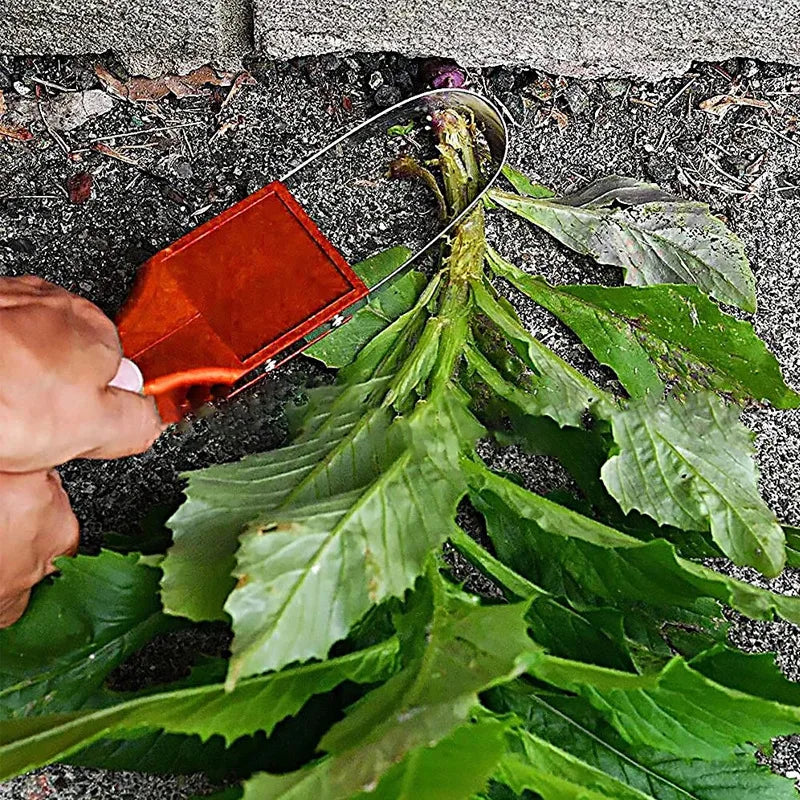 Garden Hand Loop Weeder – Stainless Steel Weed Extractor Tool