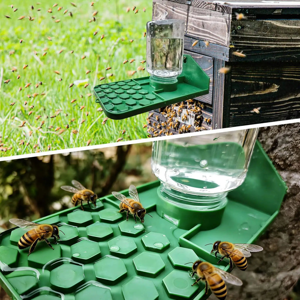 Leakproof Multi-Hole Water Feeder Bowl for Bees, Geckos & Reptiles