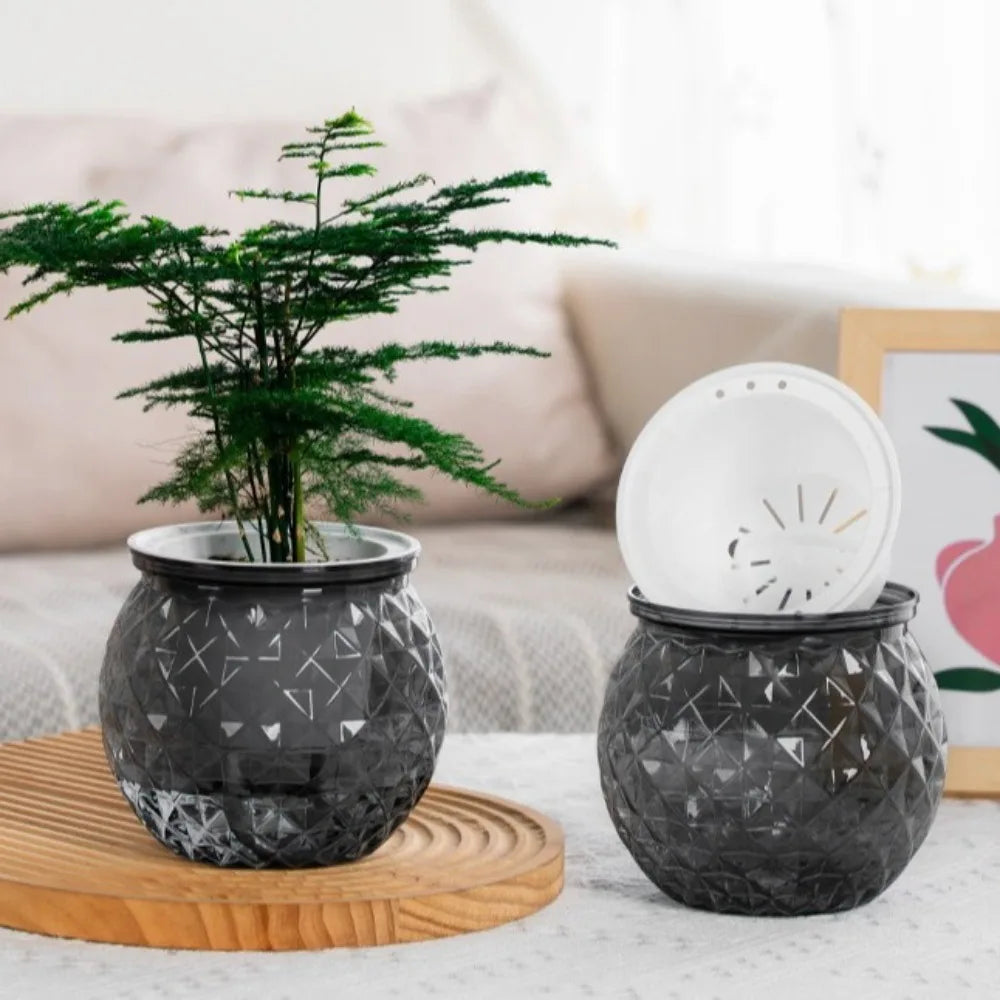 Self-Watering Hydroponic Planter | Mini Succulent Tabletop Pot