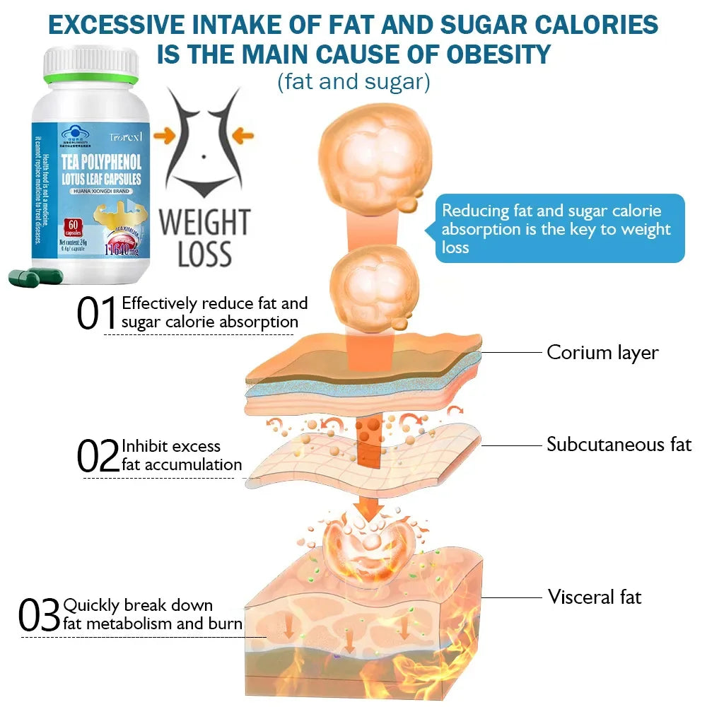 Weight Loss Products Belly Fat Burner for Women - Lose Stomach Fat, Reduce Bloating, & Avoid Hormonal Weight Gain Oasis Select