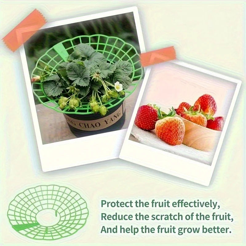 6/12pcs Green PVC Strawberry Support Cage for Vegetable Garden - 3-Legged Plant Protector, and Rot, Easy Assembly Oasis Select