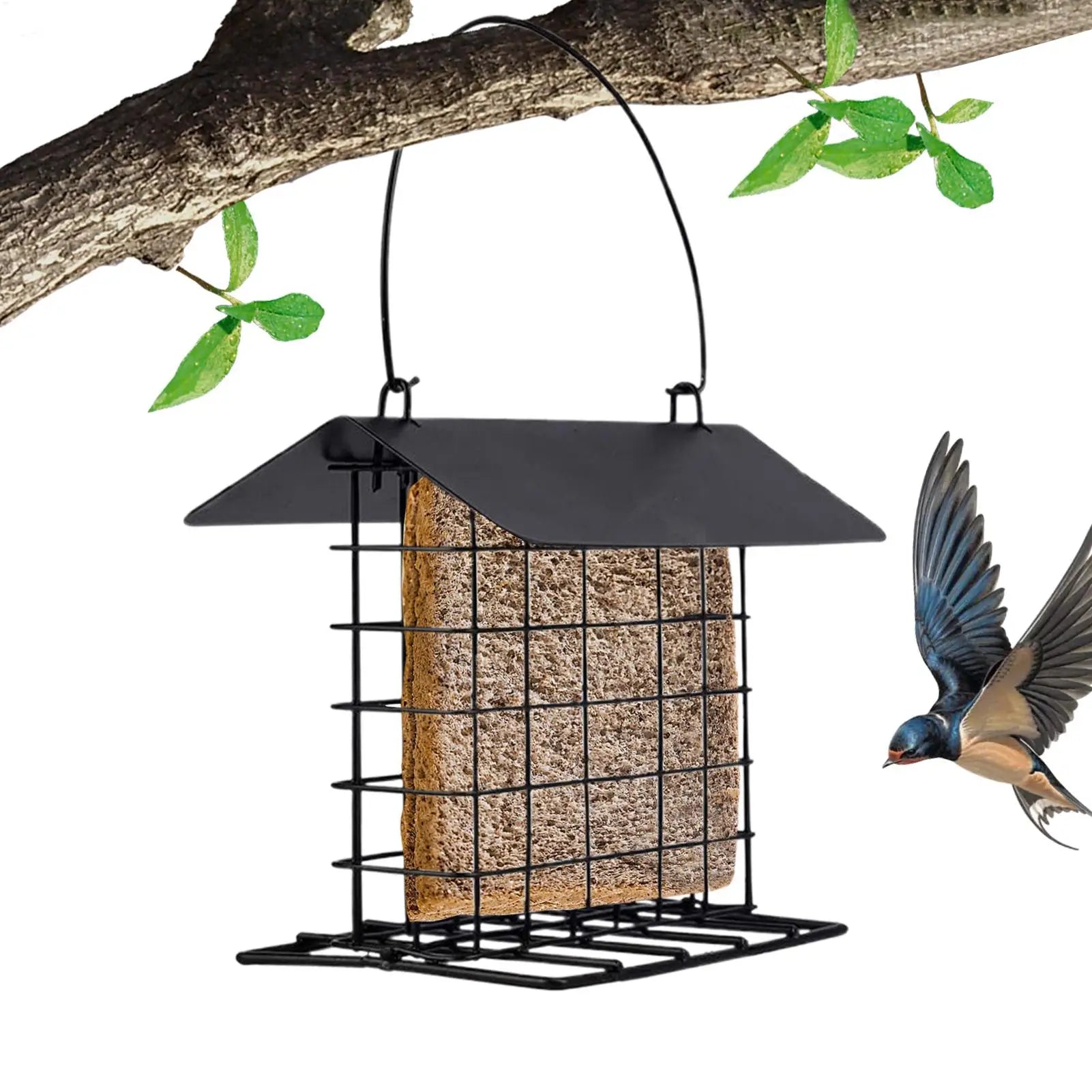 Hanging bird feeder Suet Cakes Cage Bird Feeder washable and reusable feeder wild bird feeder squirrel-proof and weatherproof Oasis Select