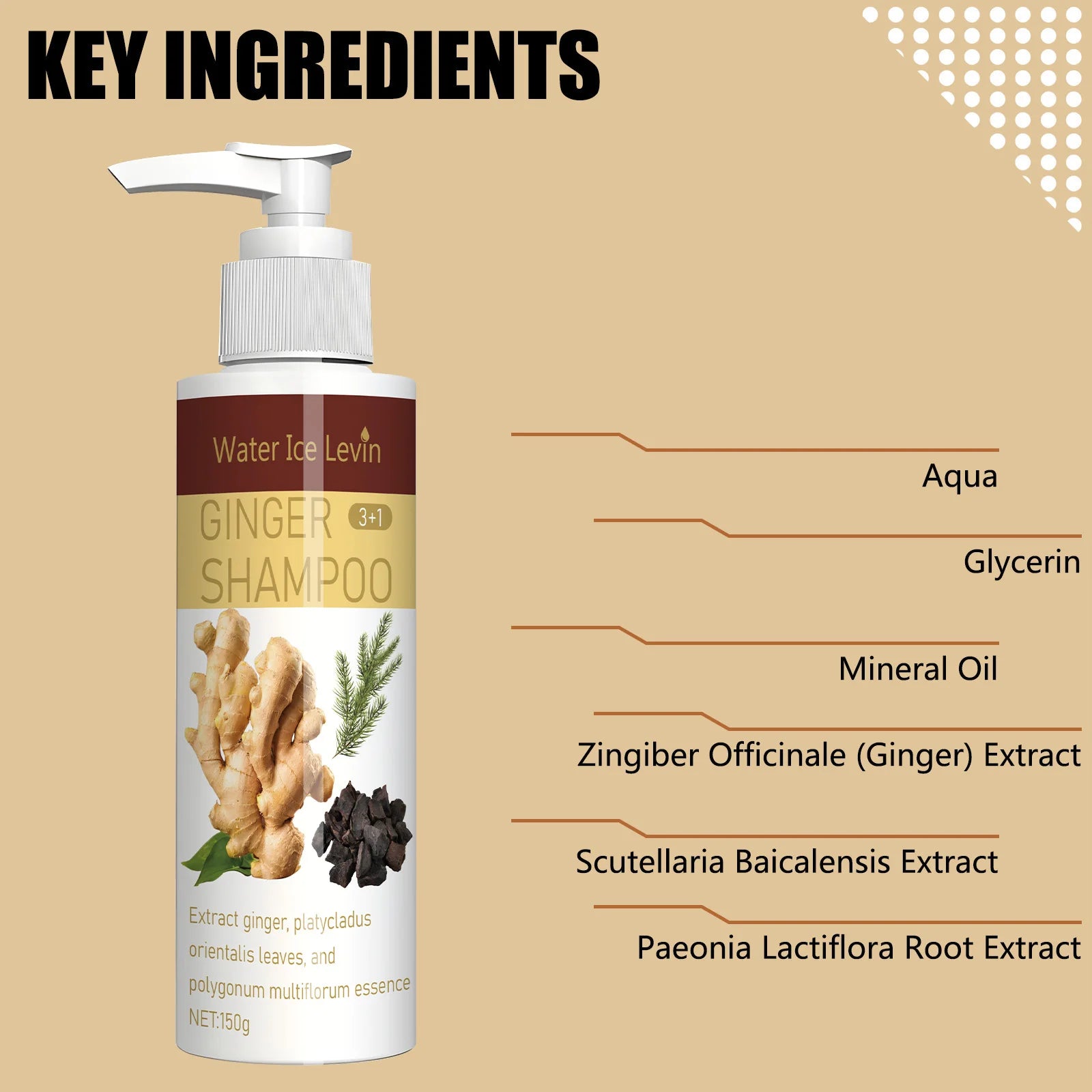 Ginger Regrowth Shampoo – Anti Hair Loss, Dandruff & Oil Control Hair Growth Shampoo Oasis Select
