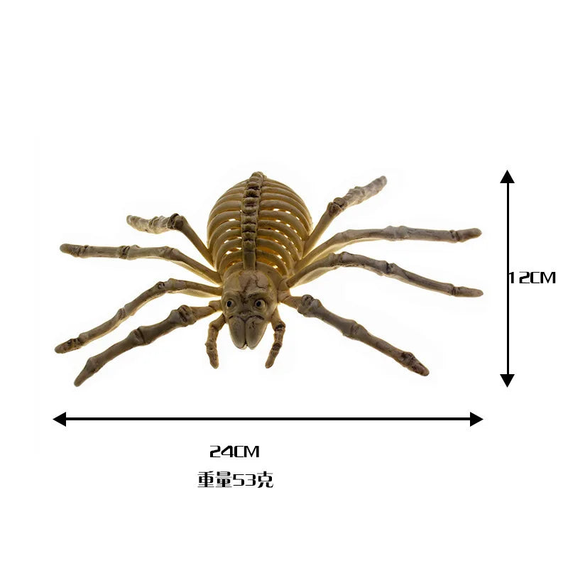 Halloween Skeleton Piranha Lizard Spider Mouse Bat Scorpion Skeleton Animal Skeleton Oasis Select Spider