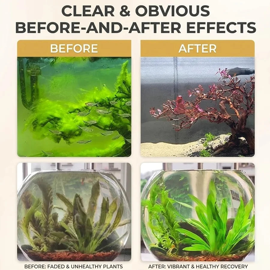 MIRAVEXL Aquarium Algae Control Tablets, Fast Acting Fish Tank Cleaner for Moss Sludge & Green Water, Safe for Fish, 150pcs Oasis Select