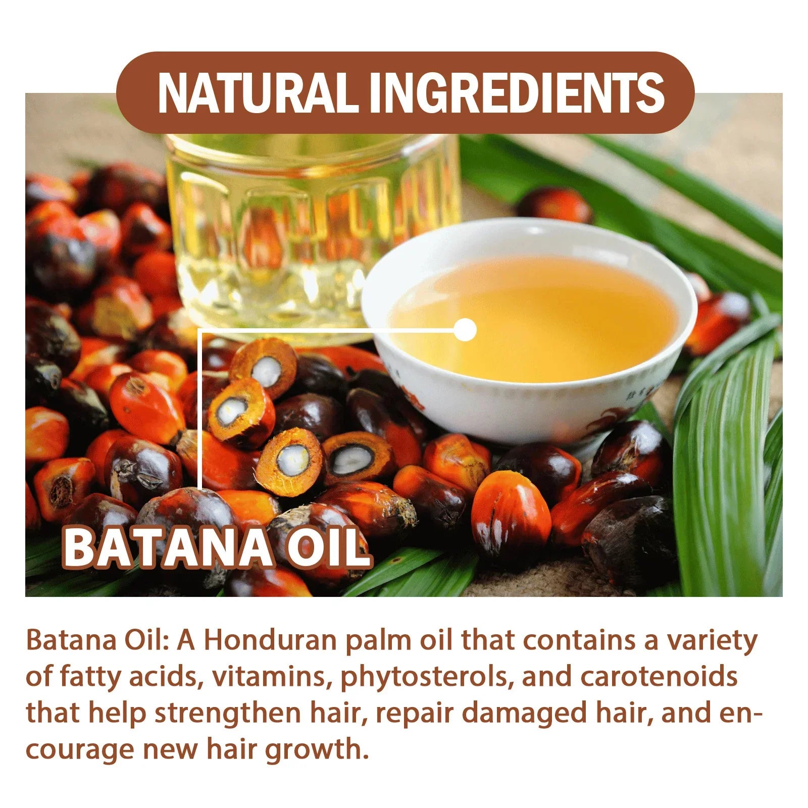 Batana Hair Growth Oil Conditioner Anti Hair Loss Products Fast Growing Hair Mask Nourishing Repair Roots Hair Care for women Oasis Select