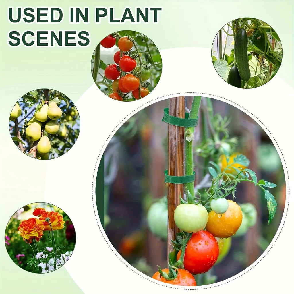 100Pcs Reusable 6 Inch Adjustable Nylon Plant Ties Non-Slip Hook and Loop Fasteners Garden Tape for Climbing Plants Support Oasis Select