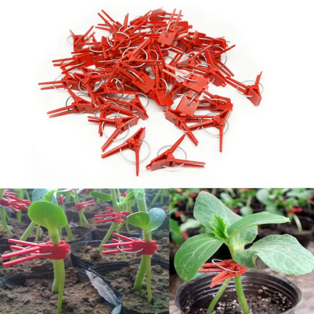 50 Pcs Plant Grafting Clip Plastic Gardening Tool Vegetable Fixed Garden Tools Anti-fall Clamp for Vegetables Tomato Watermelon Oasis Select