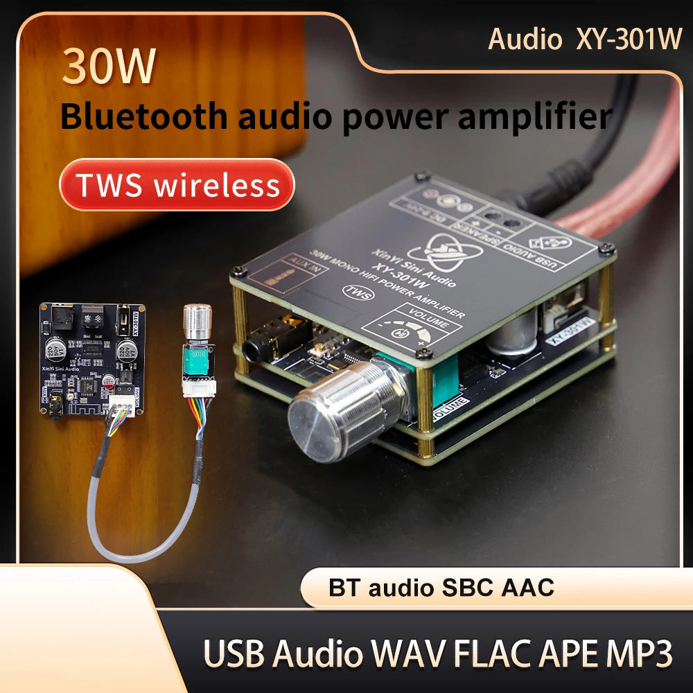 XY-301W Mono 30W Bluetooth Digital Audio Amplifier Board TWS True Wireless Box Connection Stereo DC 9-24V Oasis Select