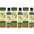 Gleamxi Rosemary Biotin Shampoo – Hair Growth & Anti Hair Loss Hair Growth Shampoo Oasis Select 3pcs