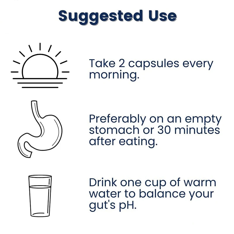 Probiotic Supplement – Gut Health, Digestion & Immune Support Probiotic Supplement Oasis Select