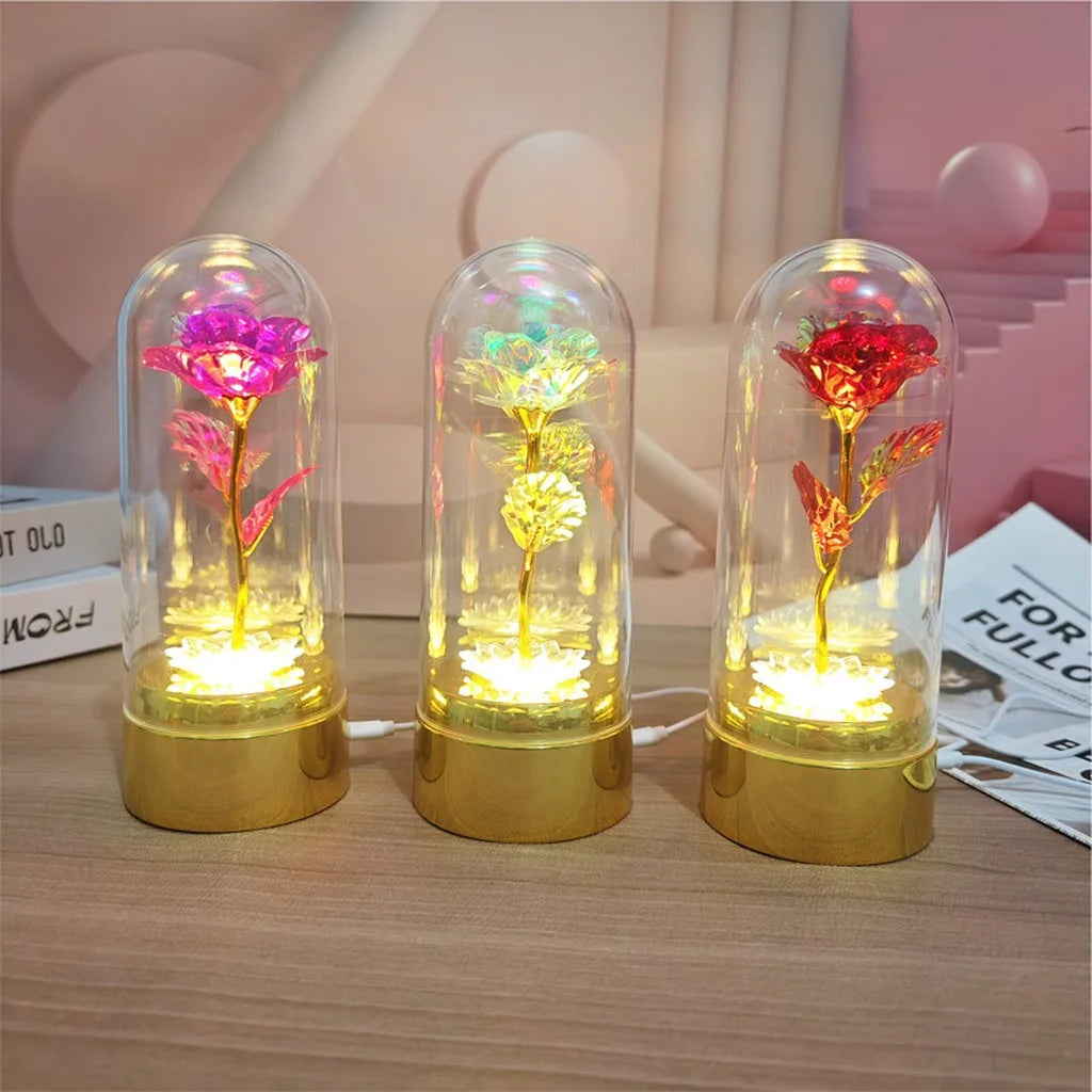 Never Beauty and the Beast Rose with Rose in Clear Dome with Led Light Powered by Battery Gift for Birthday Wedding Valentines Oasis Select