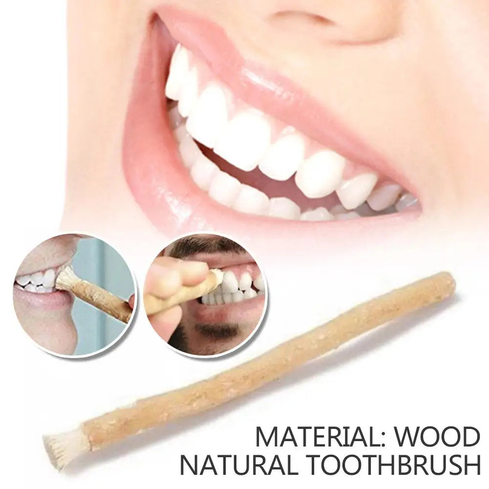 Miswak Natural Toothbrush – Siwak Arak Teeth Whitener Natural Toothbrush Oasis Select